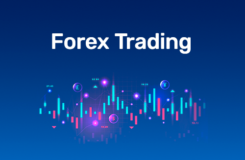 Forex Signals For Traders | WhatsApp Forex Signal